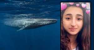 Adana'da 13 Yaşındaki Bir Kız Mavi Balina Yüzünden İntihar Etti